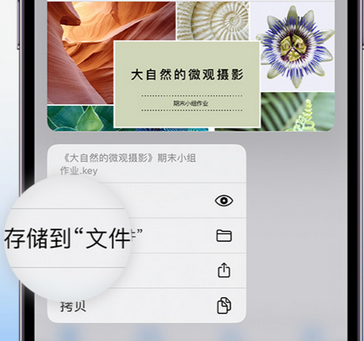 隆回apple维修中心分享iPhone文件应用中存储和找到下载文件