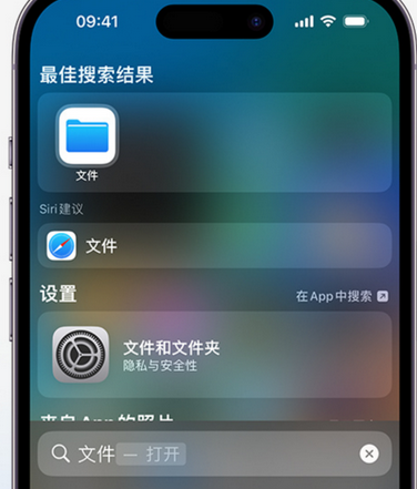 隆回apple维修中心分享iPhone文件应用中存储和找到下载文件