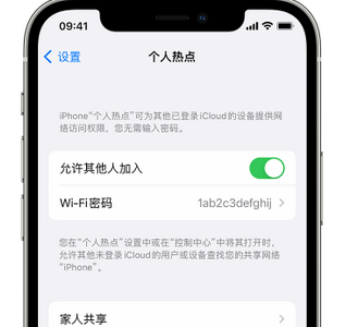 隆回apple服务站点分享iPhone上个人热点丢失了怎么办 