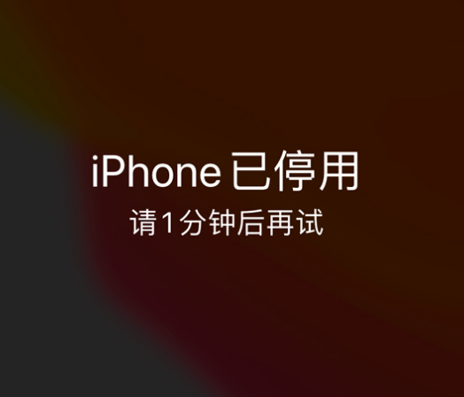 隆回苹果手机维修分享:iPhone 显示“不可用”或“已停用”怎么办？还能保留数据吗？ 