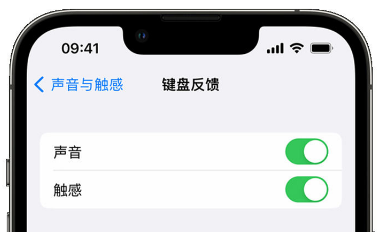 隆回苹果手机维修分享iPhone 14触感键盘使用方法 