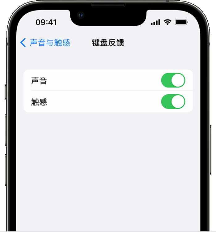 隆回苹果14维修店分享如何在 iPhone 14 机型中使用触感键盘 