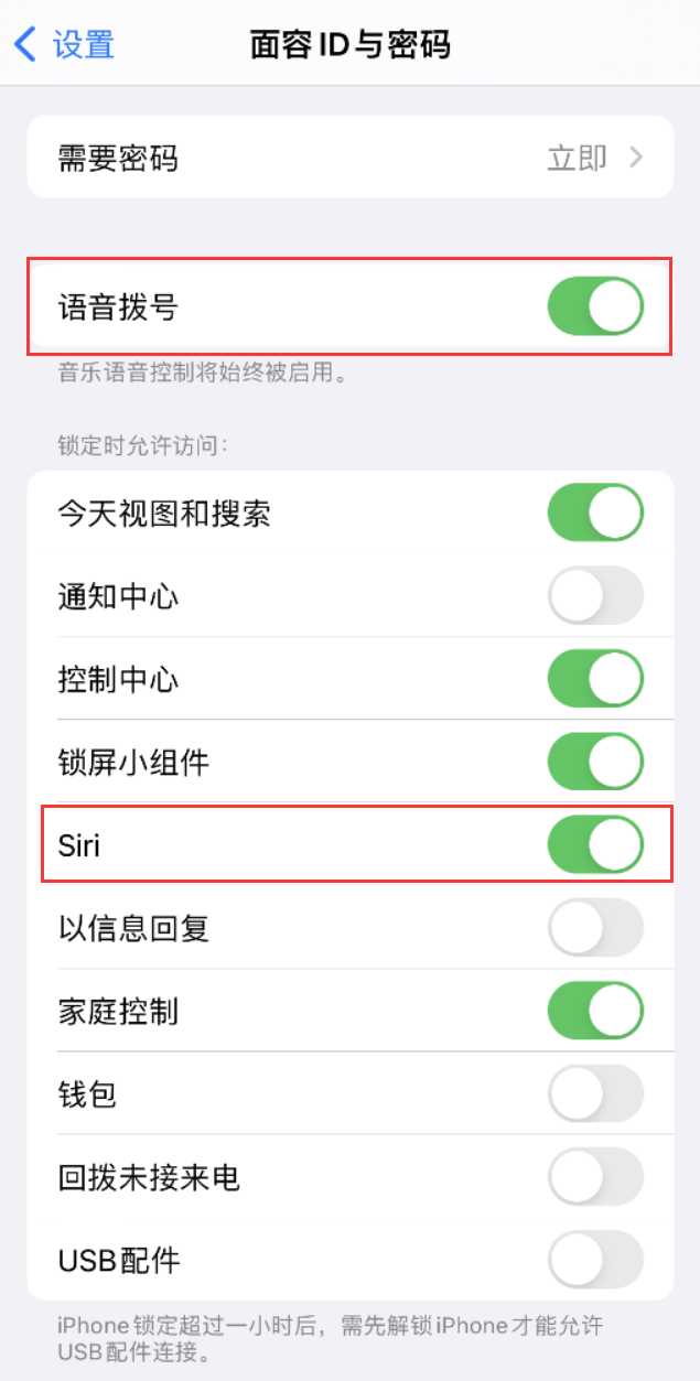 隆回苹果维修网点分享不解锁 iPhone 的情况下通过 Siri 拨打电话的方法 