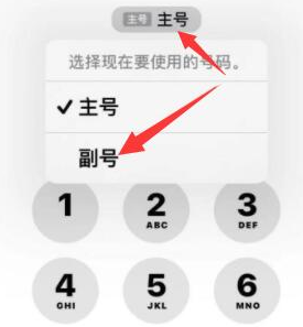 隆回苹果14维修店分享iPhone 14 Pro Max使用副卡打电话的方法 