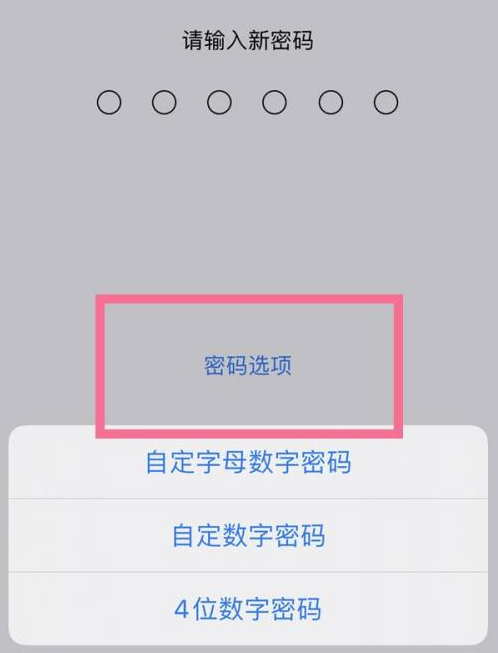 隆回苹果14维修分享iPhone 14plus设置密码的方法 