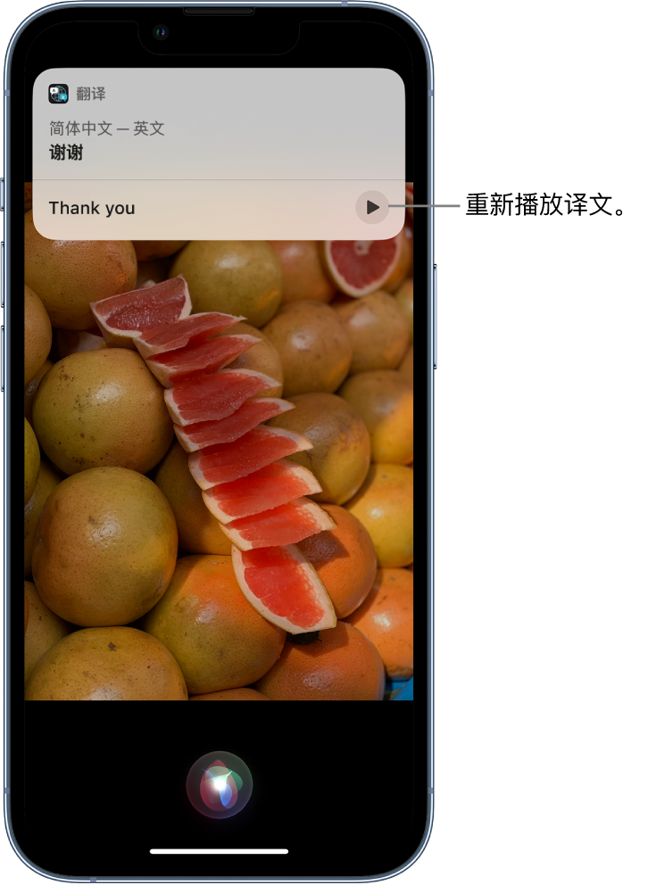 隆回苹果14维修分享 iPhone 14 机型中使用 Siri：了解 Siri 能帮你做什么 