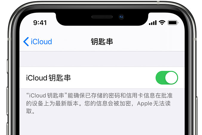 隆回苹果手机维修分享在 iPhone 上开启 iCloud 钥匙串之后会储存哪些信息 