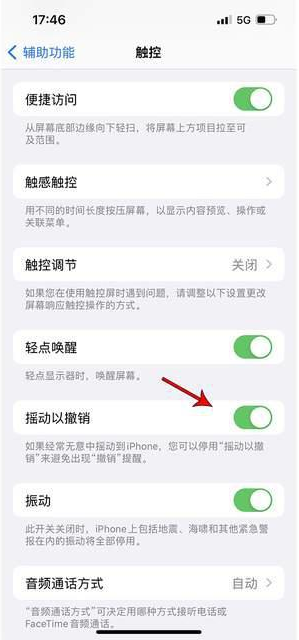 隆回苹果手机维修分享iPhone手机如何设置摇一摇删除文字 