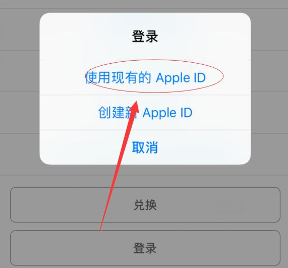 隆回苹果手机维修分享两台iPhone设备可以同时登录一个Apple ID吗 