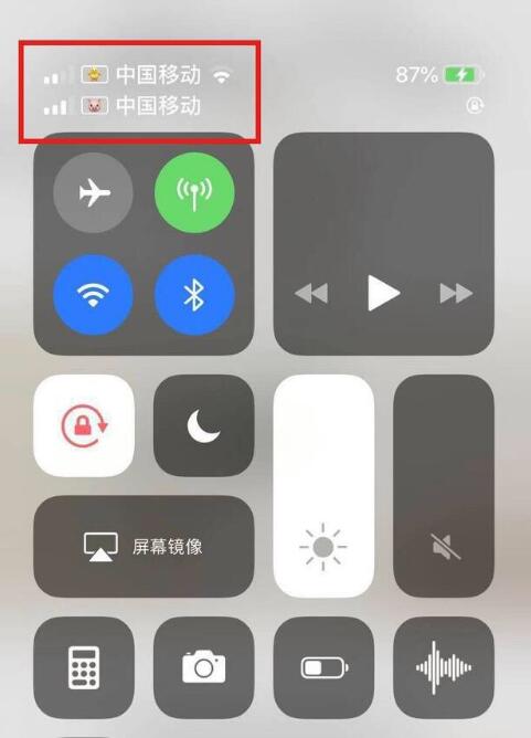 隆回苹果手机维修分享为 iPhone 12 双卡设置标签 