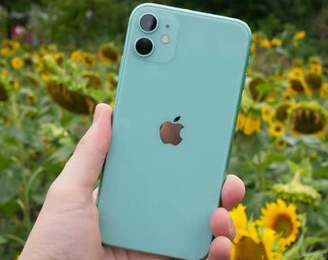 隆回苹果维修点分享iPhone 11锁屏密码认知与使用科普 