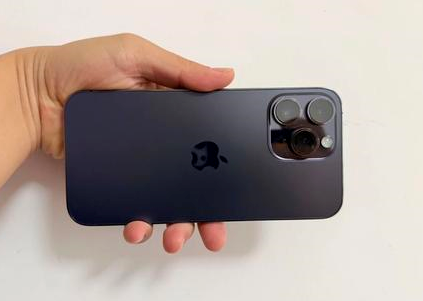 隆回苹果维修点分享iPhone 14 Pro Max黑屏少见故障盘点 